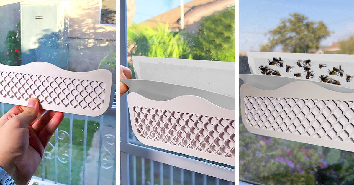 BUGMD Window Fly Traps - Fly Trap for Windows, Fly Traps for